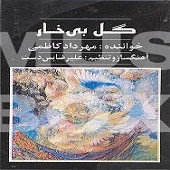 مهرداد کاظمی تصنیف گل بی خار